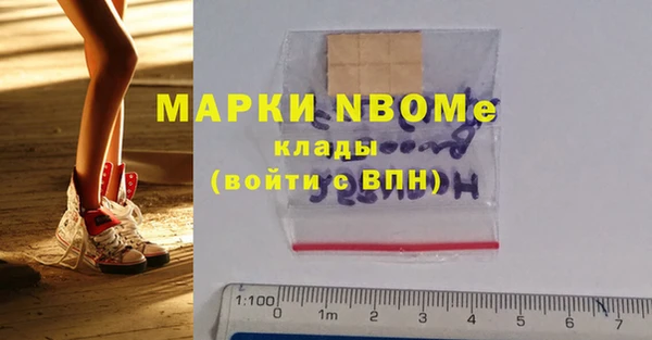 прущие грибы Абаза