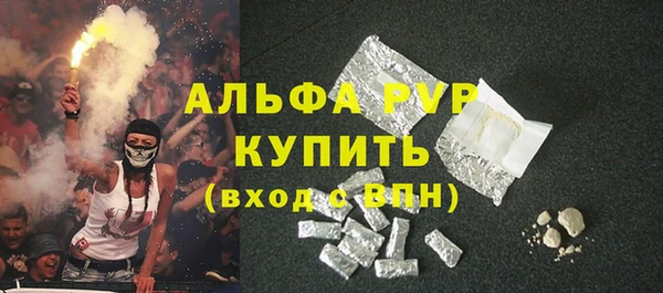 прущие грибы Абаза