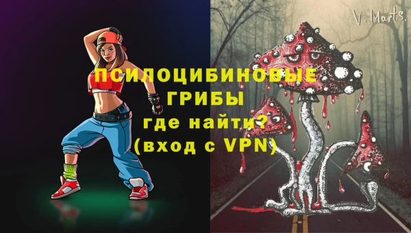 дмт Алзамай